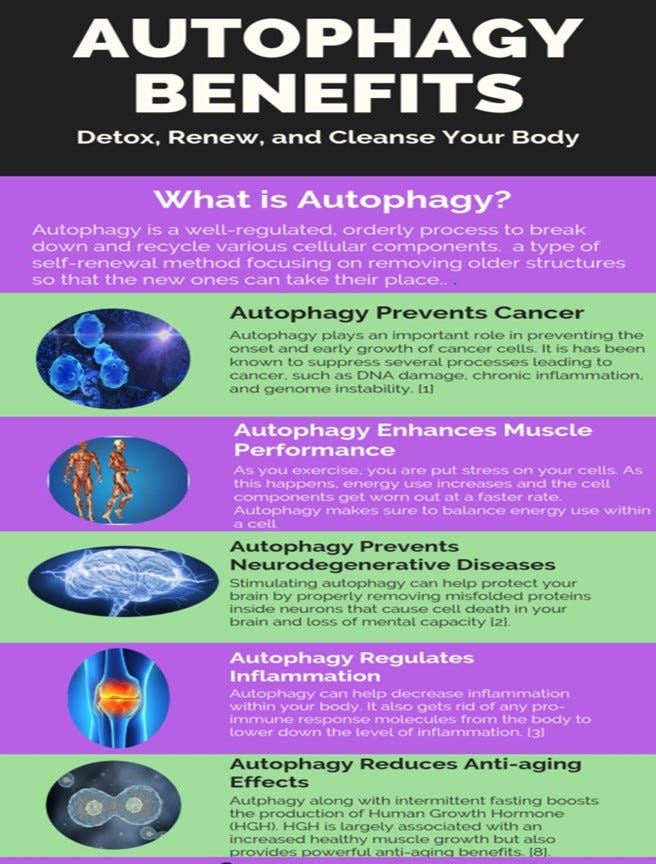 autophagy benefits 