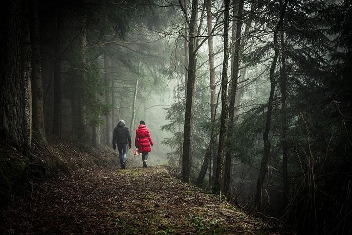 The Benefits of Walking in Nature - Mind Matters Training