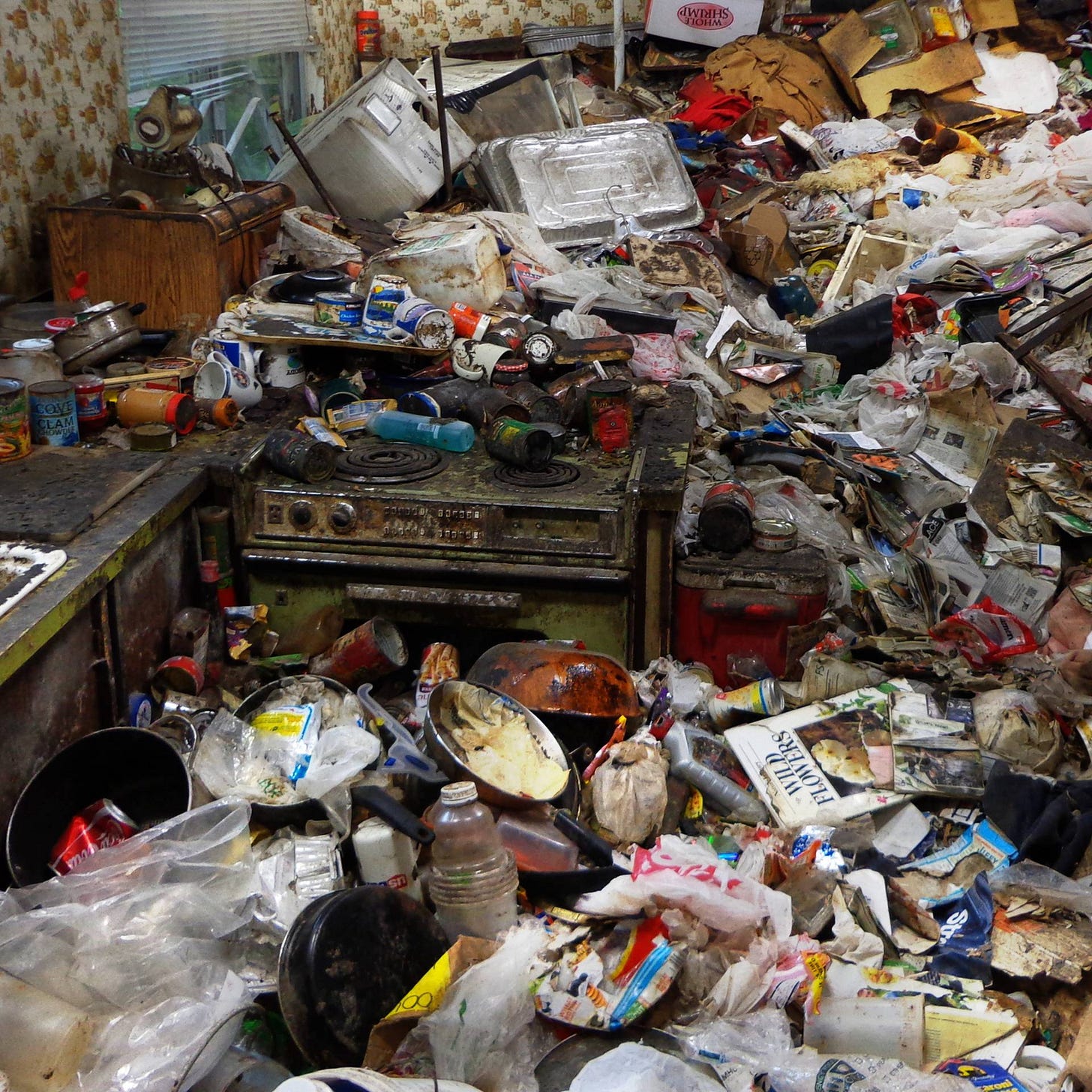 Stream Hoarding: Buried Alive | discovery+