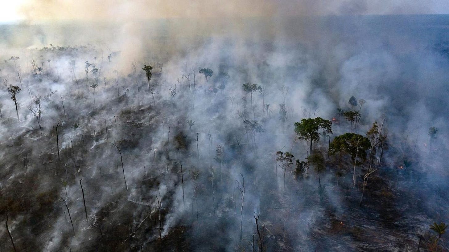 Aerial view of a charred, smoldering Amazon Rainforest.