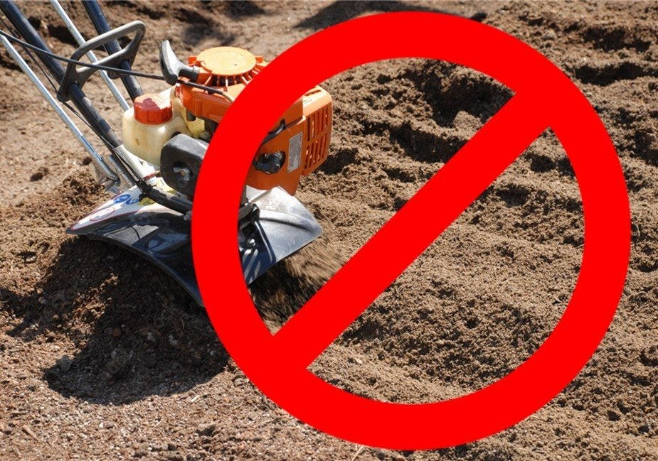 Don't Till the Soil Don't Till the Soil