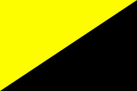 The black and gold flag is the symbol of anarchism (black) and capitalism (gold) which according to Murray Rothbard was first flown in 1963 in Colorado.