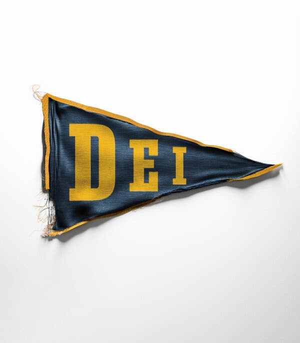 A frayed blue-and-yellow collegiate pennant displaying the letters DEI.