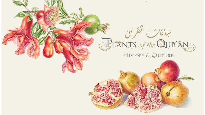 Sue Wickison on "Plants of the Qur’ān" project