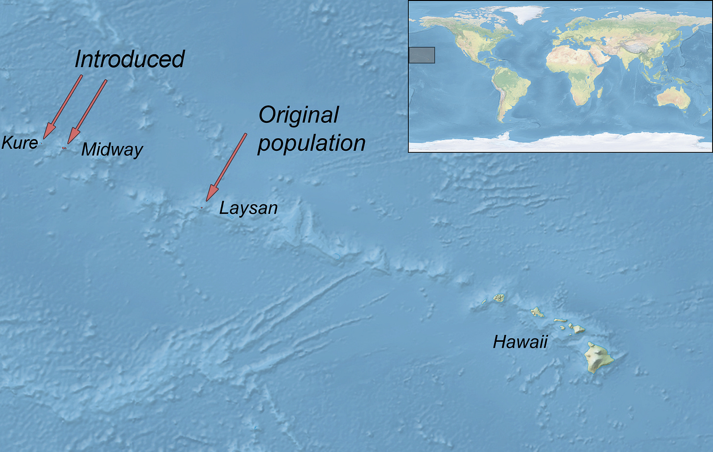 map of the Hawaiian Islands with Laysan, Midway, and Kure labelled