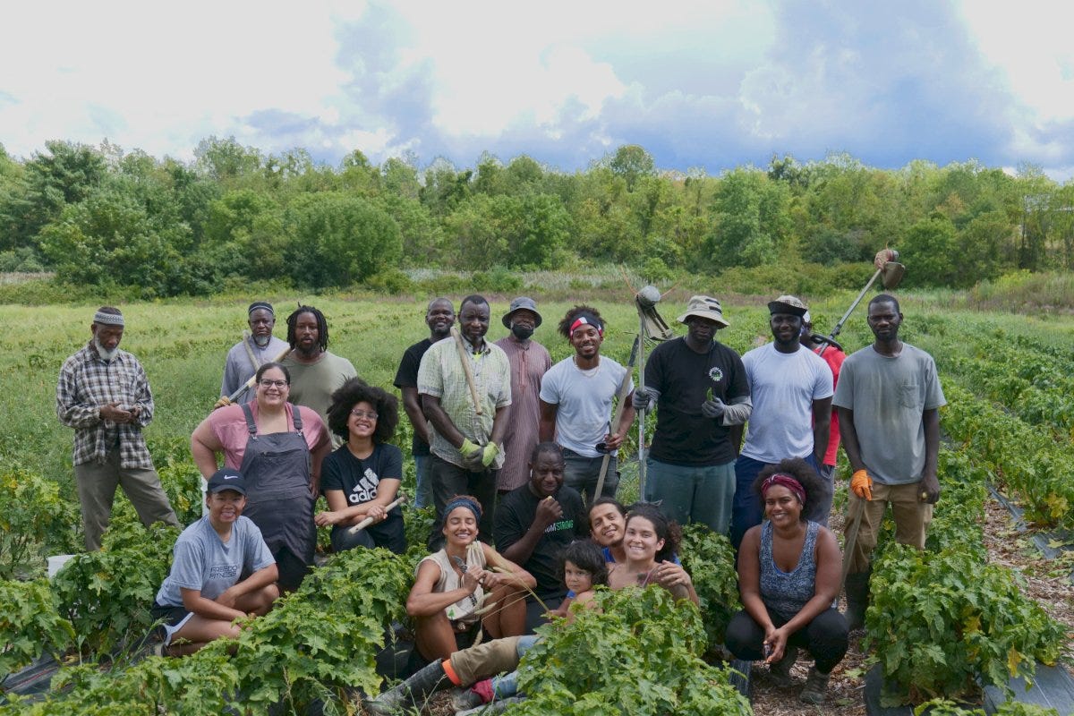 The Black Farmer Fund Is Investing $20 Million in Community Wealth | Civil  Eats