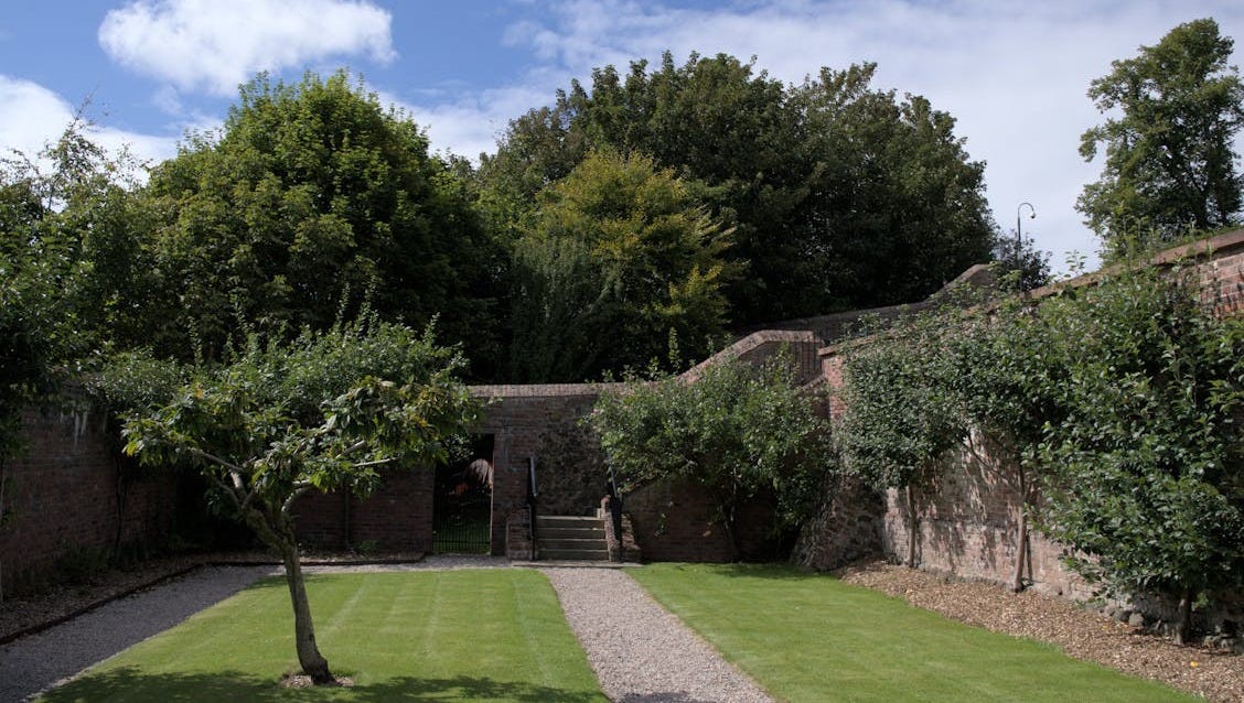 Free A tranquil walled garden with lush greenery and a well-kept lawn in Lisburn. Stock Photo