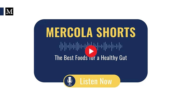 The Best Foods for a Healthy Gut