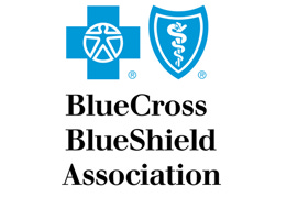 Blue Cross and Blue Shield Association – Blue Cross Blue Shield of Michigan