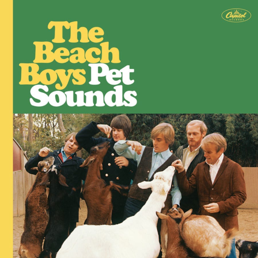 Pet Sounds - Polyvinyl Records - Shop Vinyl, Merch, Music and More