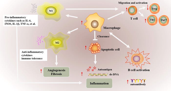 Figure 1