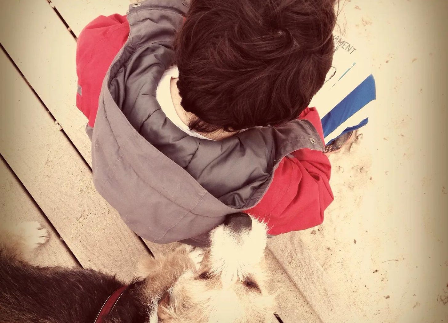 Photo of child from above, face not visible. A dog is behind him sniffing his coat.