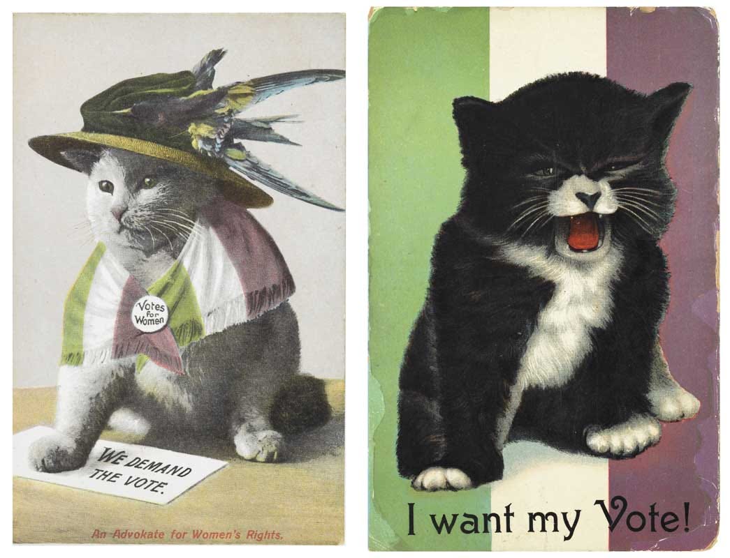 Cat wearing a hat and 'votes for women' badge and another mewling with caption "I want my Vote!"
