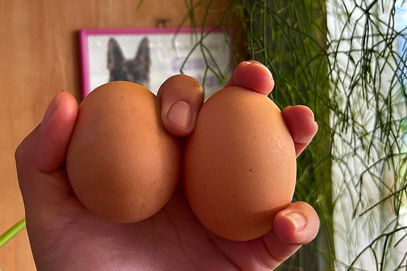 Hand holding two eggs.