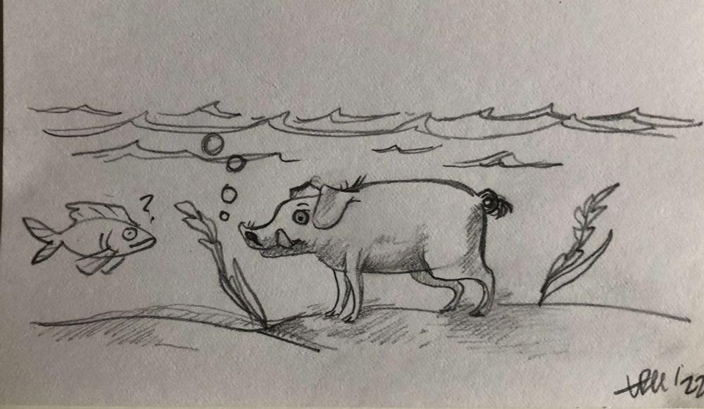 A pencil drawing of a pig underwater looking at a confused fish. A pencil drawing of a pig underwater looking at a confused fish.