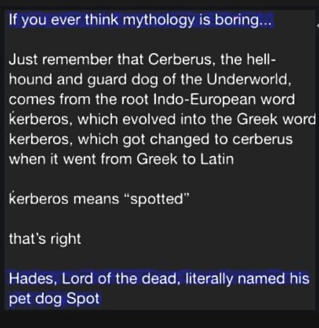 If you ever think mythology is boring...Just remember that Cerberus, the hell-hound and guard dog of the Underworld, comes from the root Indo-European word kerberos, which evolved into the Greek word kerberos, which got changed to Cerberus when it went from Greek to Latin. Kerberos means "spotted." That's right. Hades, Lord of the Dead, literally named his pet dog Spot.