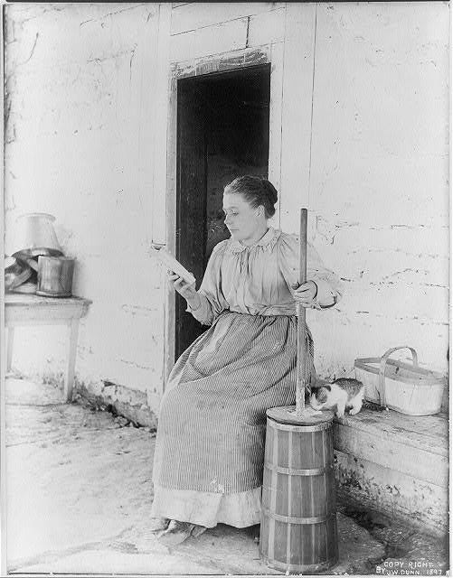 Photograph shows woman sitting outside on wooden bench reading a book while operating home butter churn; kitten licks up butter on churn.