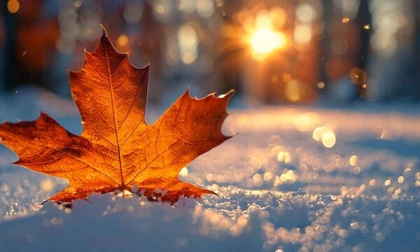 https://images.app.goo.gl/484cAQ2mv5yTXbbs5