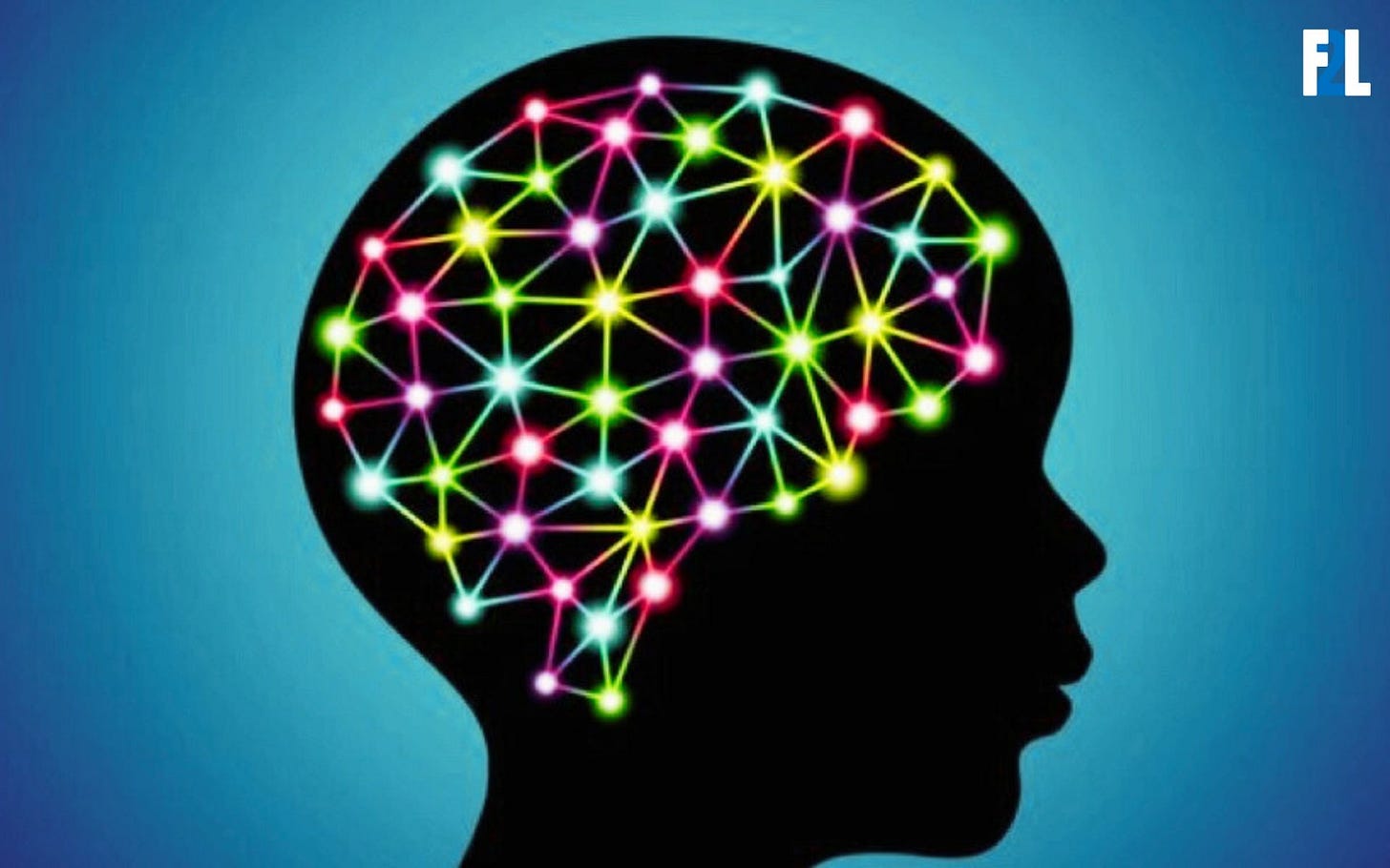 image of a brain as a connected network of nodes