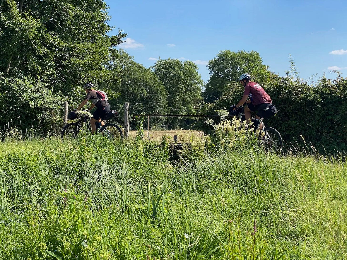 Entre forêts et champs Entre forêts et champs