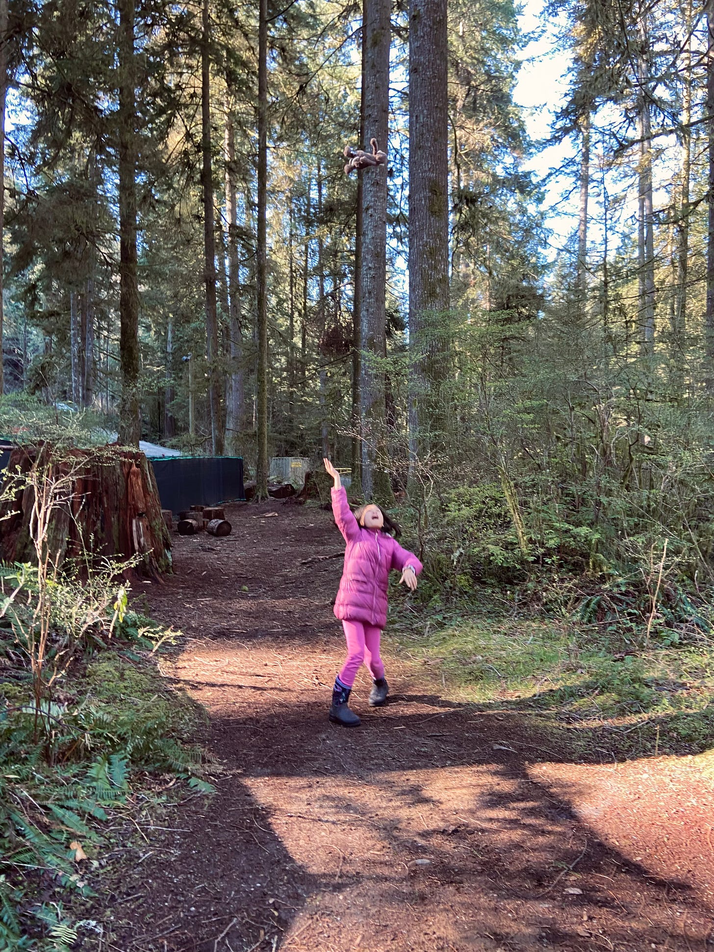 Girl in forest throwing up stuffed monkey