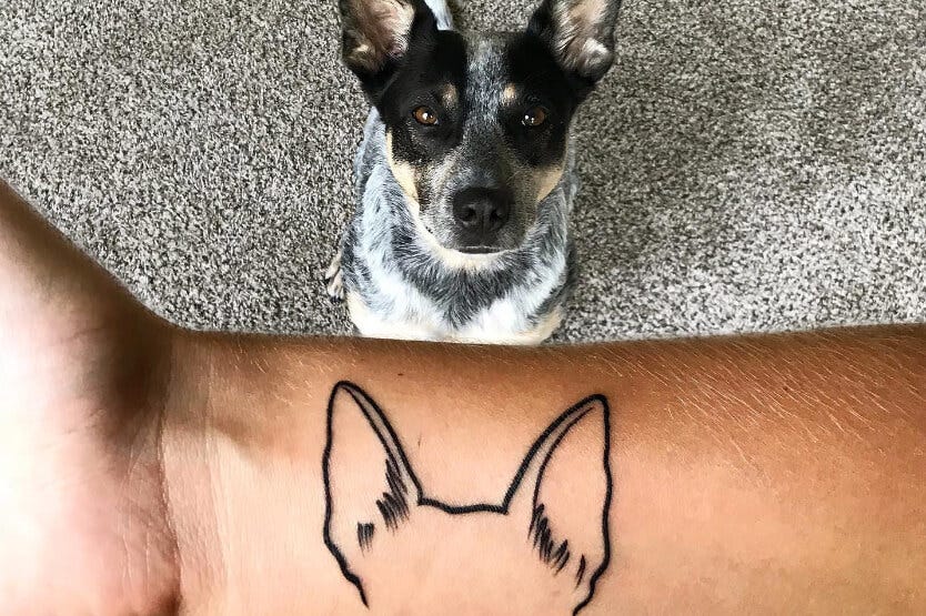 A minimalist dog ear tattoo in honor of my blue heeler, Scout