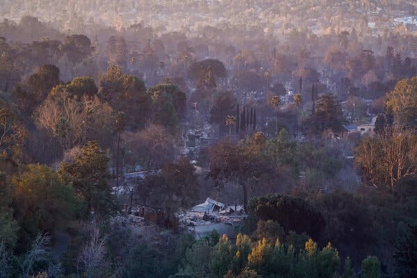 Destroyed buildings are visible amid tall trees.