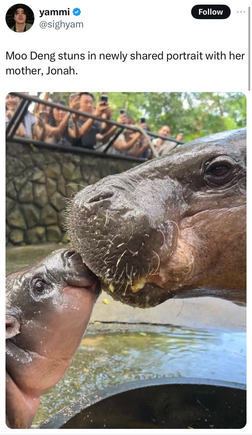 Meme Report 9/18 by Kathryn Winn MEMEFORUM