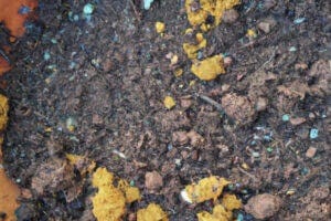 Decomposing organic matter