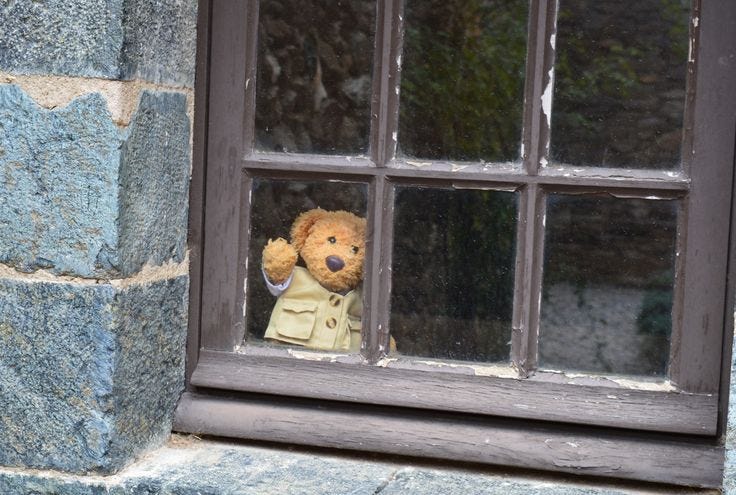 This may contain: a teddy bear in a trench coat looking through a window