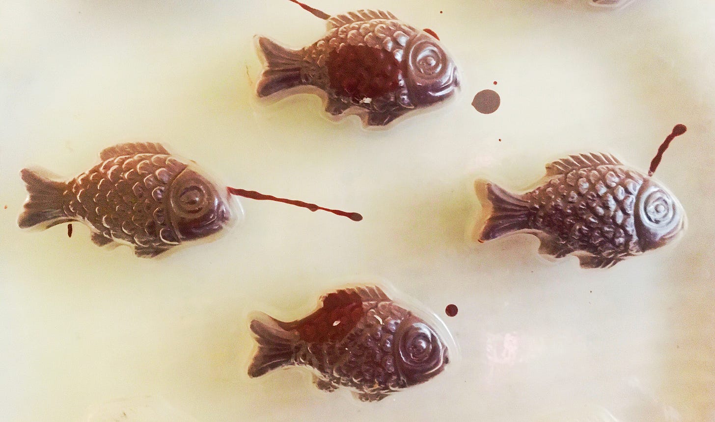 Half-tempered chocolate in a plastic fish mold