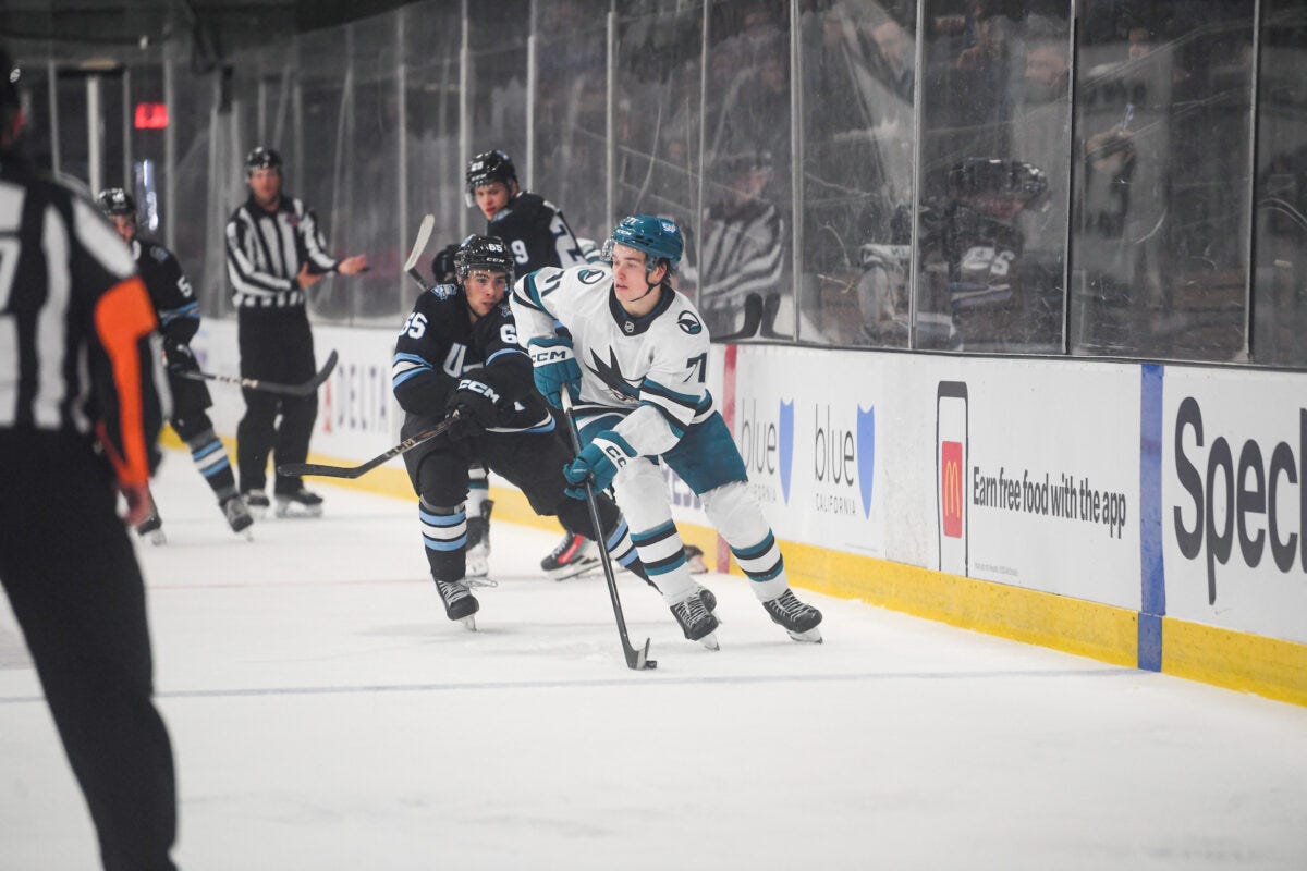 Macklin Celebrini San Jose Sharks