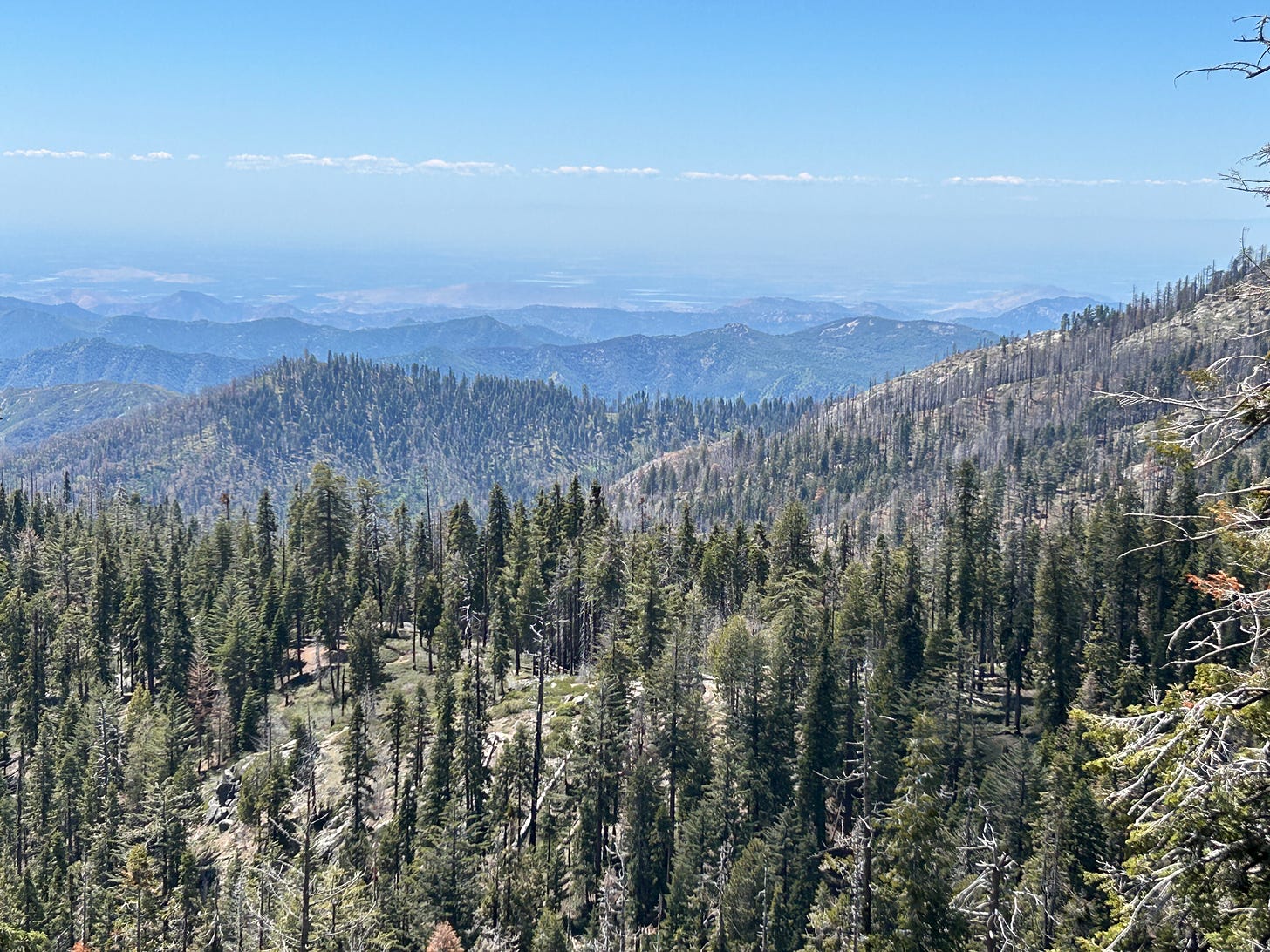 Visiting Sequoia National Park