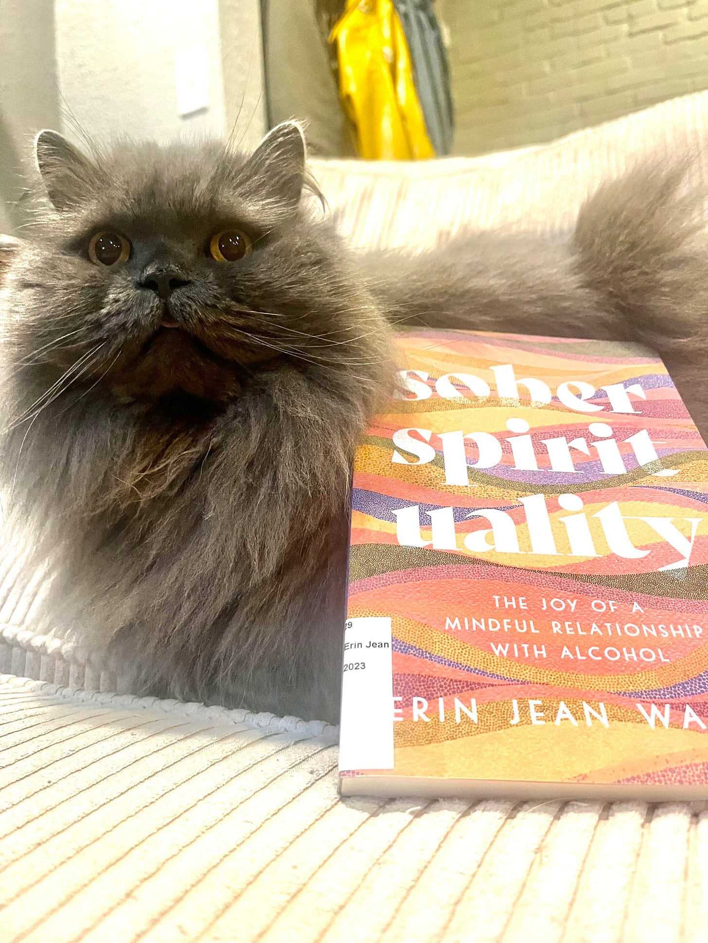 Picture of a gray kitty with tongue out and a copy of Sober Spirituality resting in his fur