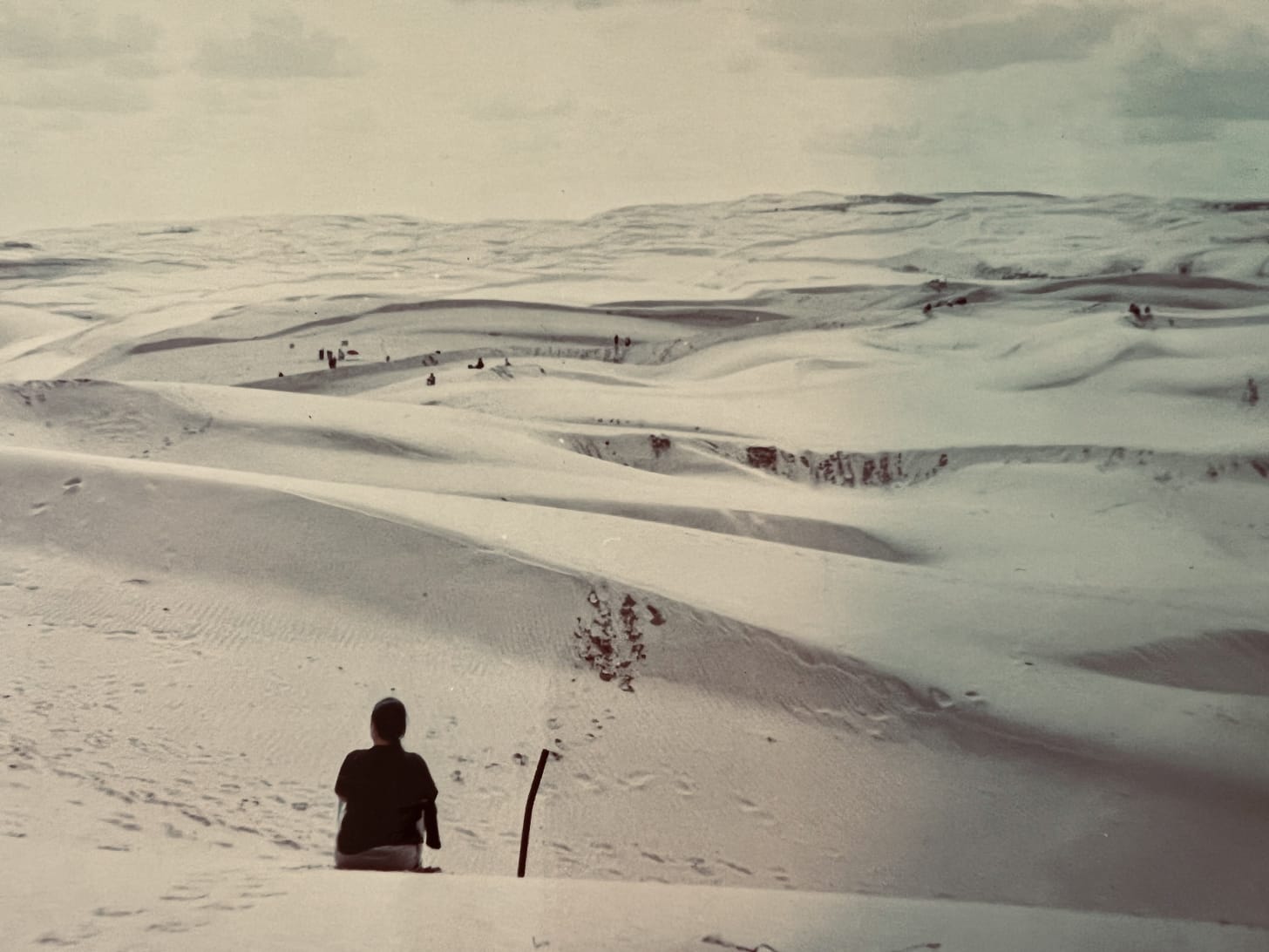 snowy landscape in beijing with woman standing in foreground