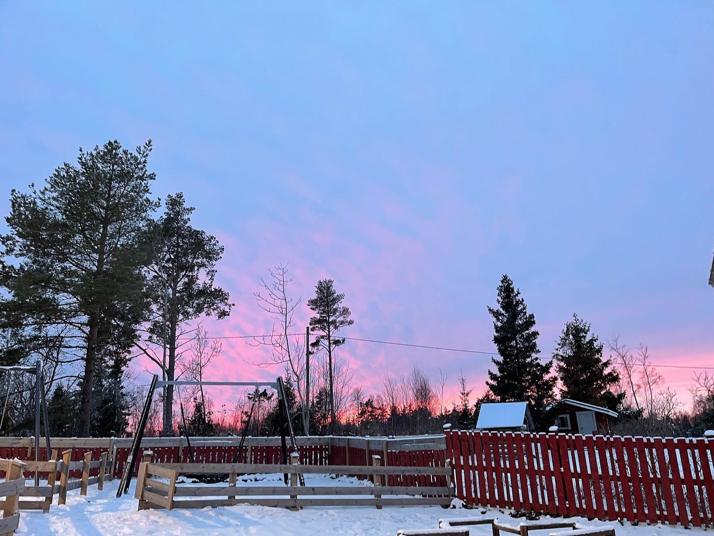 Snow covered swing set and playground with some pine trees behind it and a pink horizon as the sun sets behind the mottled cloudy sky