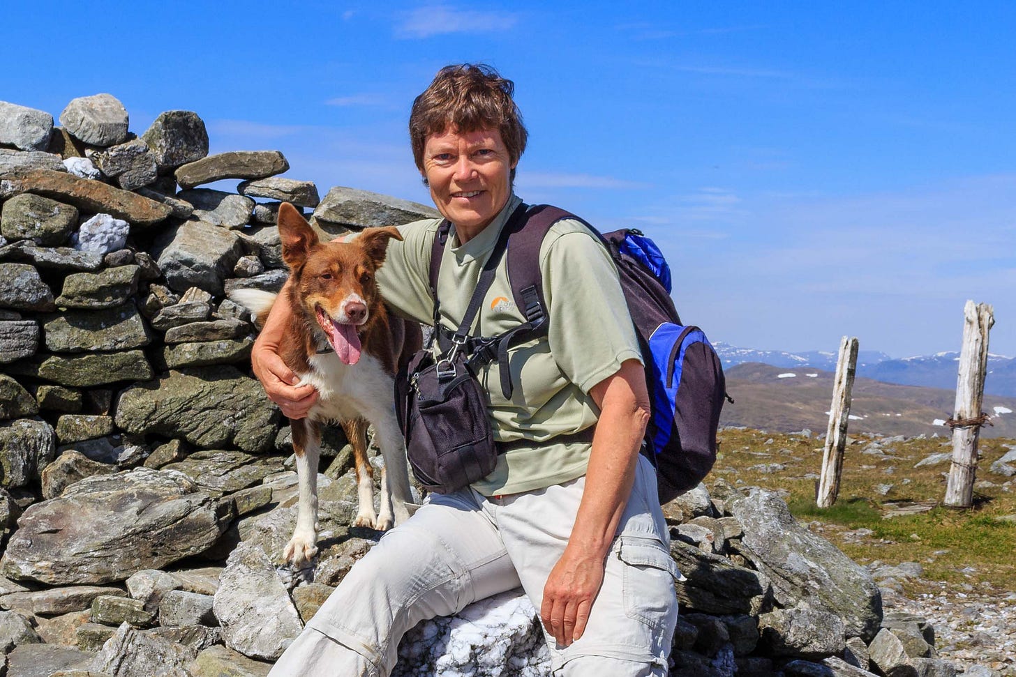Author Felicity Martin on the summit of Ben Chonzie, with Braan, her walking companion for 11 years Author Felicity Martin on the summit of Ben Chonzie, with Braan, her walking companion for 11 years
