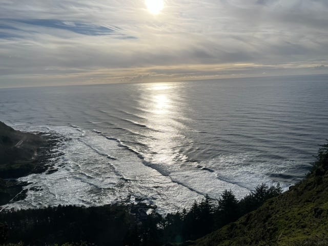 Forrested cliff overlook of the Pacific ocean, foamy waves coming in, late afternoon sun in cloudy sky leaving trail reflected across the water