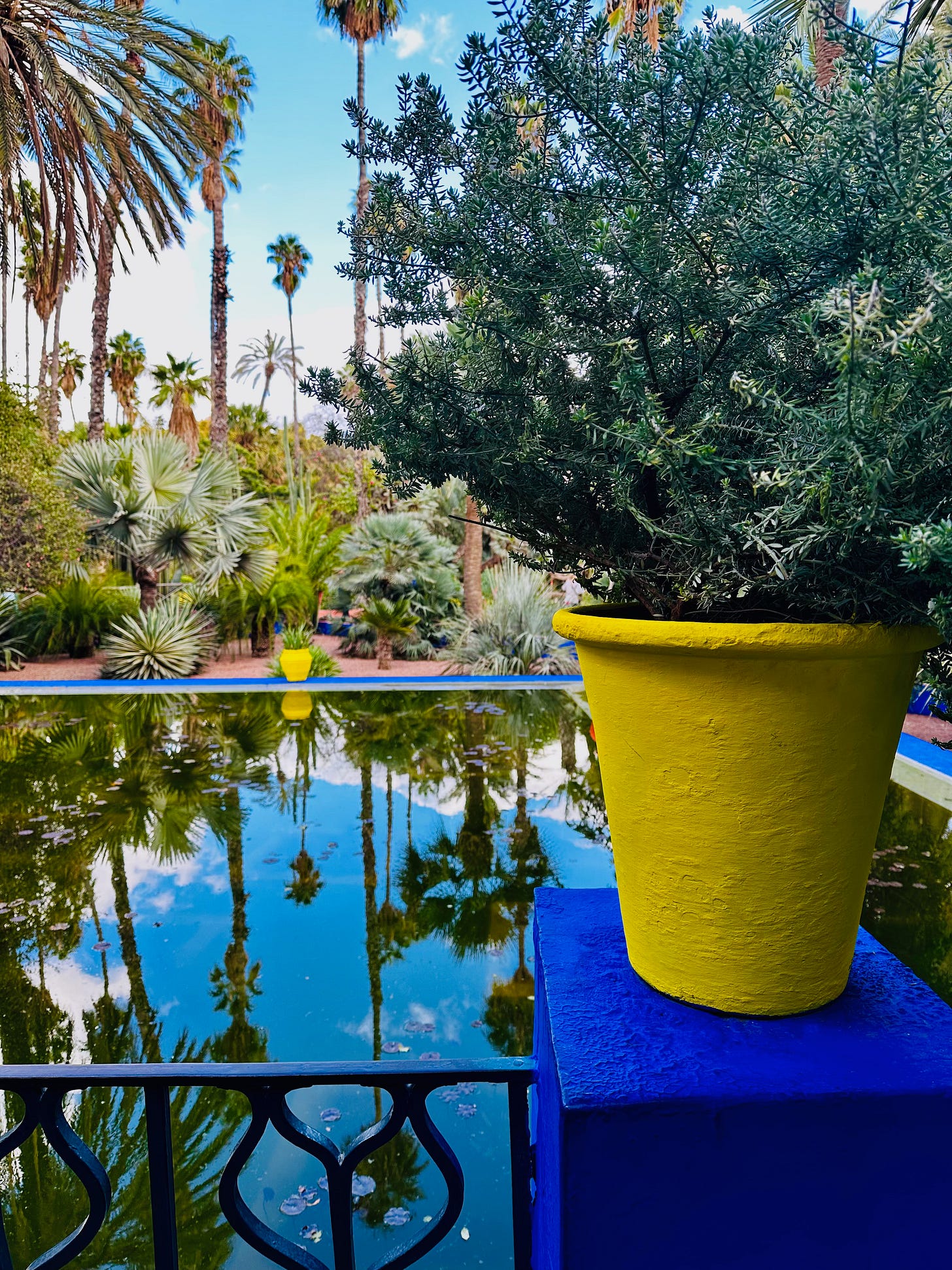 Jardin Majorelle, Marrakesh, Morocco 