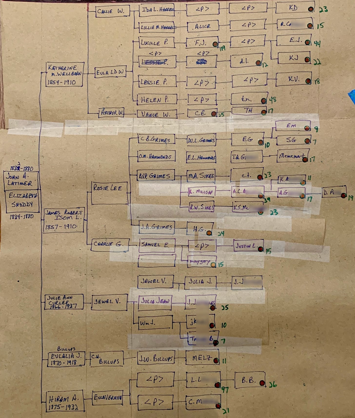 photo of a second hand-drawn multi-path pedigree chart photo of a second hand-drawn multi-path pedigree chart