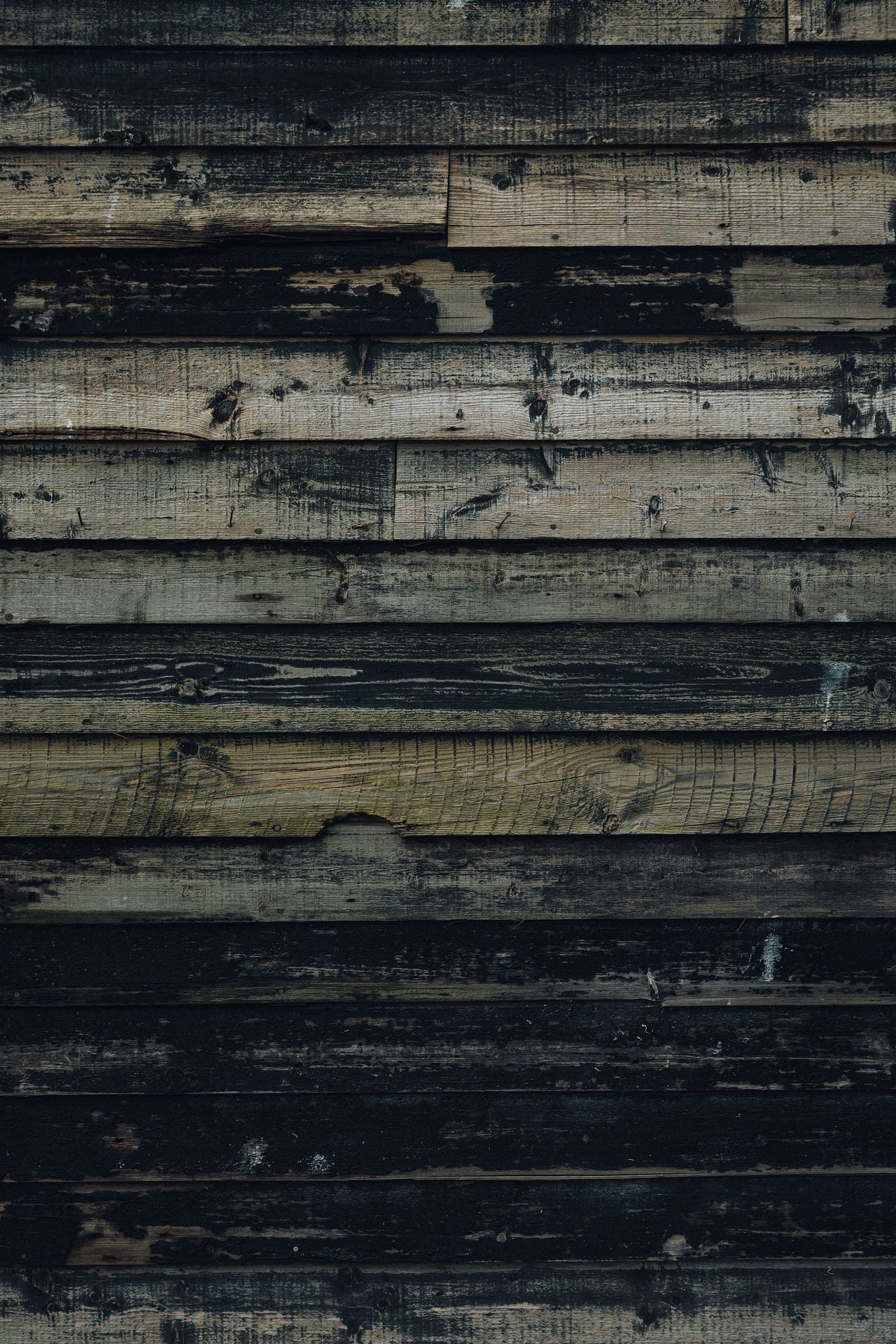 Texture of a wood-clad wall.