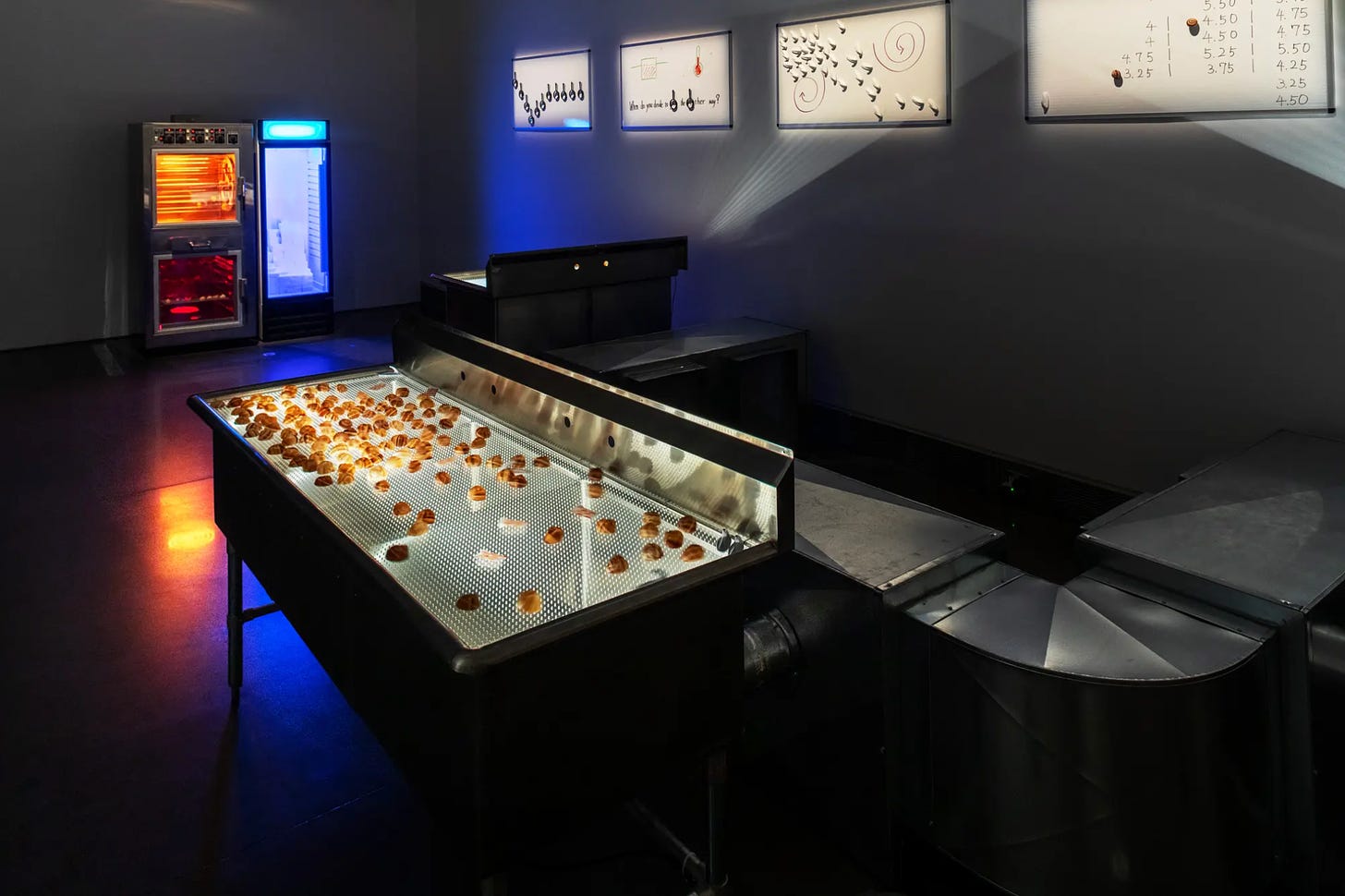 Installation view of Aki Sasamoto Point Reflection. In a darkened room, and industrial sink has a lit surface of perforated glass, supporting random groupings of large empty snail shells. In the back of the room is an industrial rotisserie machine, glowing orange and red, paired with a freezer glowing blue. On the wall is a series of photographs, glowing white, with diagrams, numbers, an arrays of small objects.