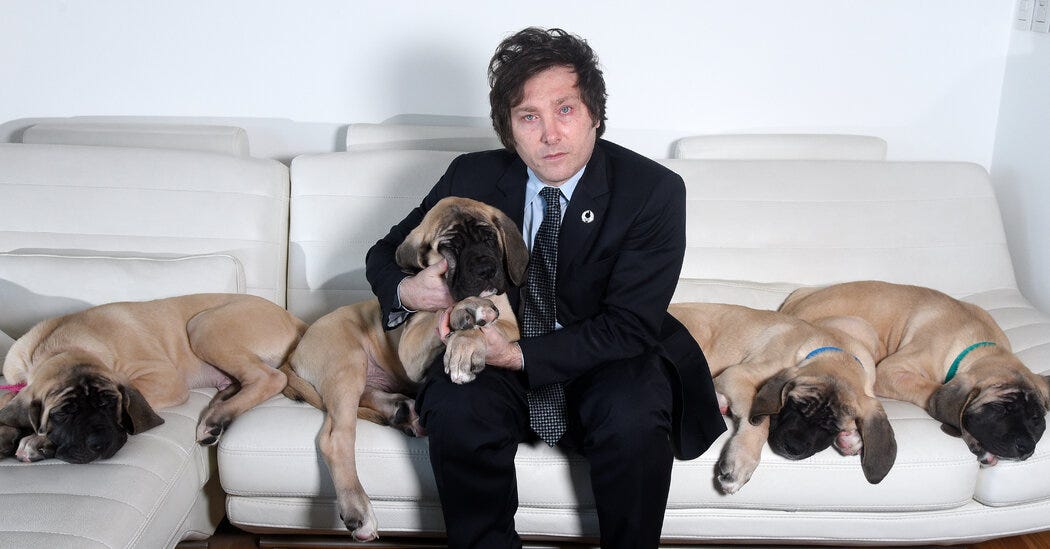 Javier Milei and His 5 Cloned Dogs in Argentina's Election - The New ...