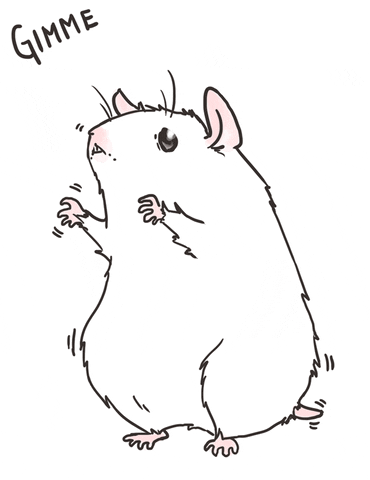 A mouse saying gimme gimme gimme