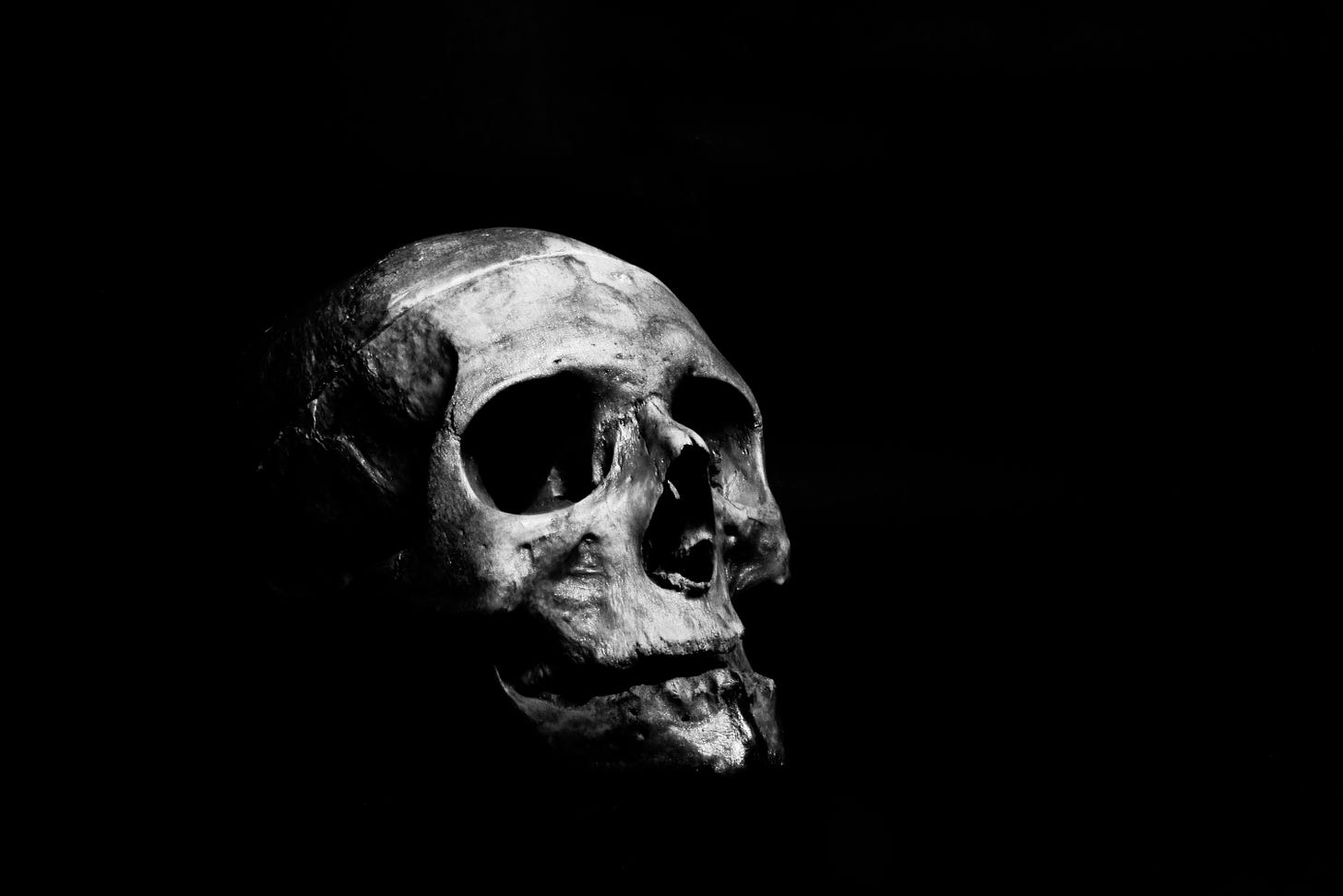 Black & white moody photo of a skull against a dense black background