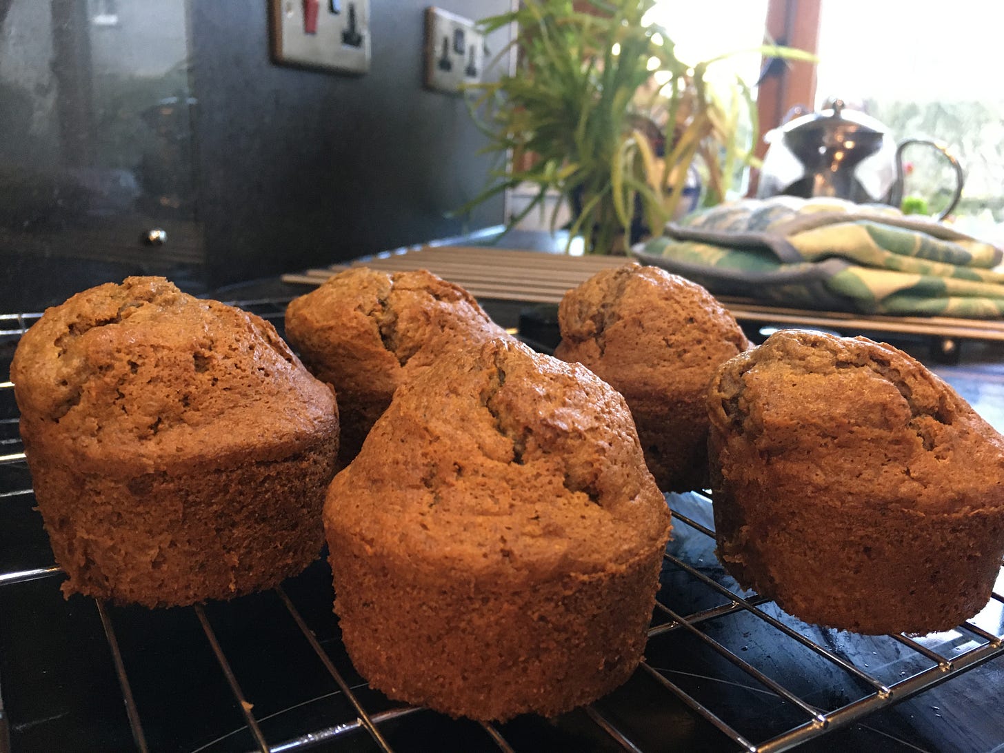 Freshly baked carrot cake muffins on a cooling rack