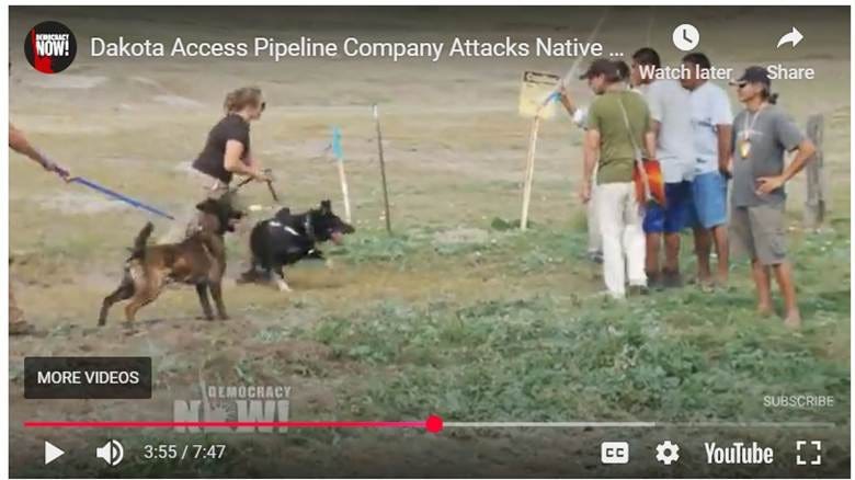screenshot of Democracy Now YouTube video of dogs attacking non-violent people. screenshot of Democracy Now YouTube video of dogs attacking non-violent people.