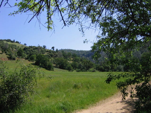 Green hilly landscape framed by trees. A dirt trail leads off to the right.