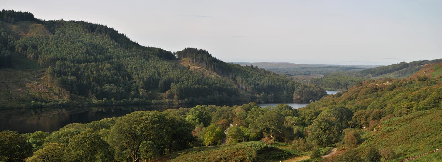 Loch Trool and Bruce's Stone