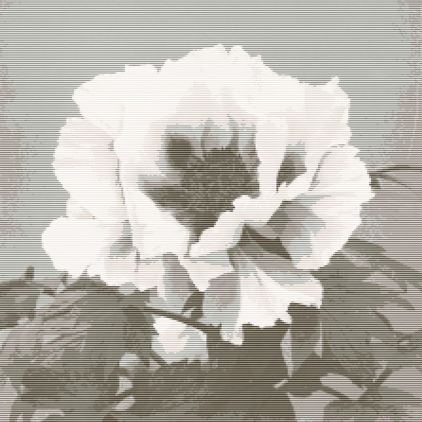 Halftone rendering example 1
